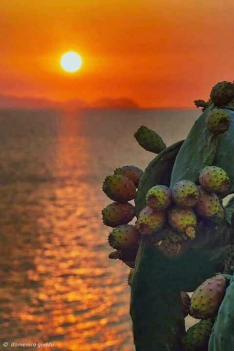 A Pozzallo Vicino Al Mare Vila Exterior foto